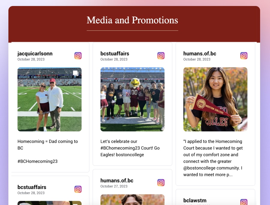Example of an Instagram hashtag widget on a website