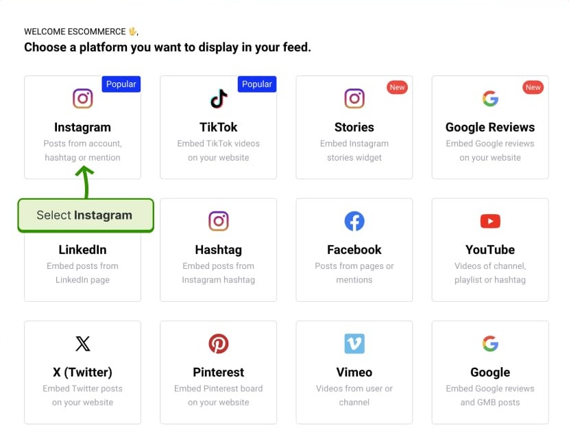 select Instagram as a source inside embedsocial